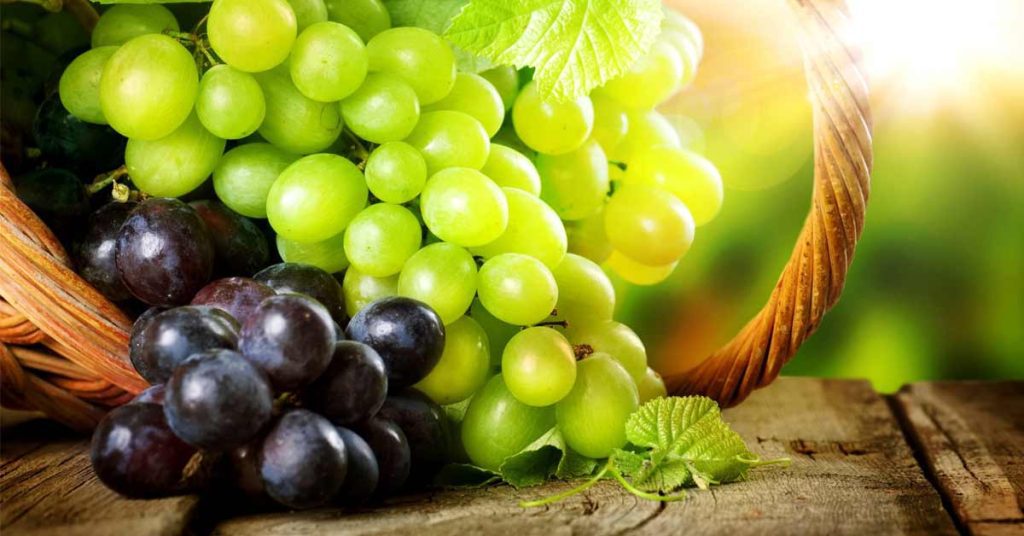 calorias da uva e propriedades