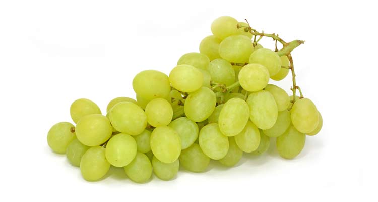 calorias da uva thompson