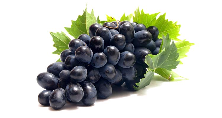 benefícios da uva - cacho de uvas